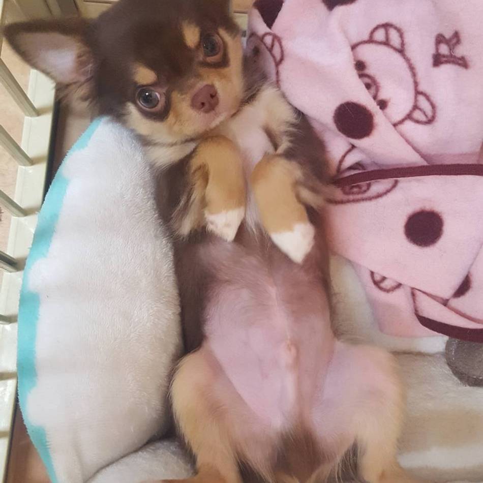 エコちゃんのカバー写真