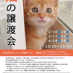 刈谷で開催！！猫の譲渡会