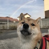 蘭丸
