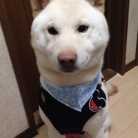 れお