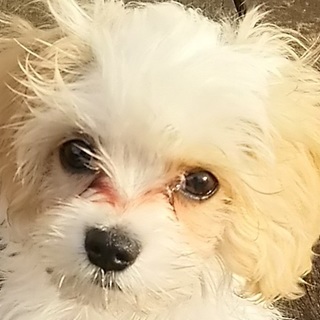 ハンデを越え幸せに！ハウス社会性トイレ◎カレーまん