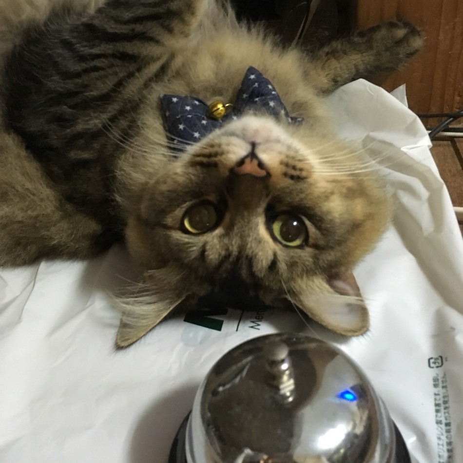 でっかちくんのカバー写真
