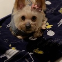 ありがとうございました