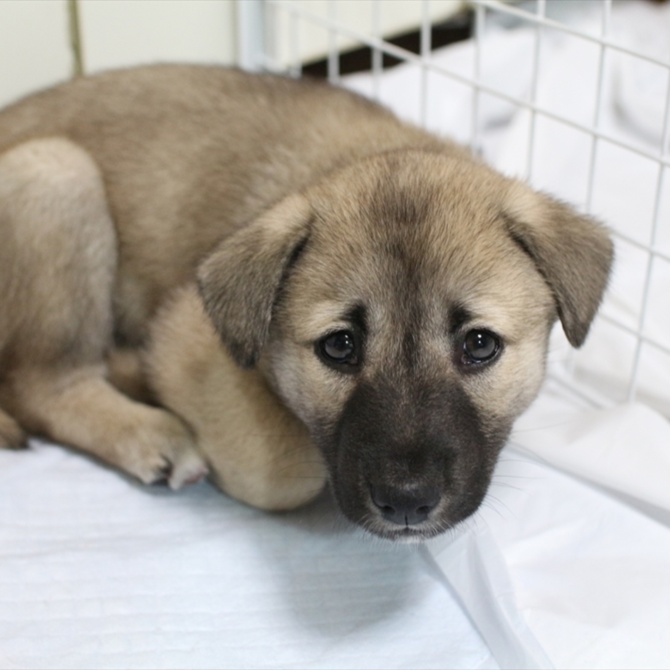 輪太郎のカバー写真
