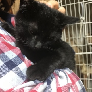 ちょびっと怖がり、タケくん。トライアル決定❣️