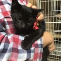 チュリちゃんは逃げ足が速いです❣️