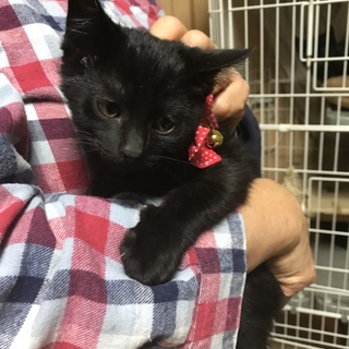 チュリちゃんは逃げ足が速いです❣️