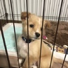 たきくん