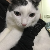 のぶお