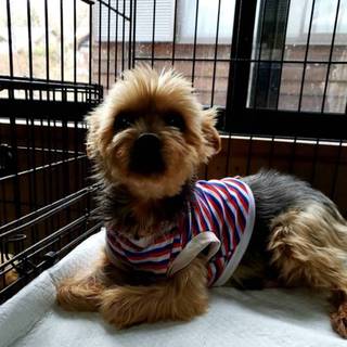 ありがとうございました♪