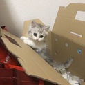 たくさんのご応募ありがとうございました（; ;）