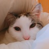  さん