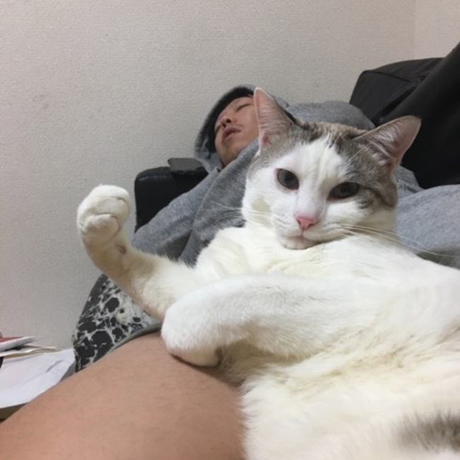 こぷりおんのカバー写真