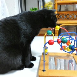 ちょっと違ったかな？