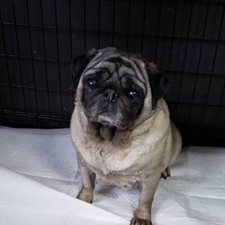 ありがとうございました♪