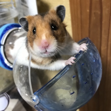 の写真