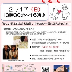 保護犬猫譲渡会『てとて』