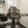 の写真