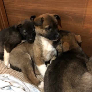 ありがとうございました！