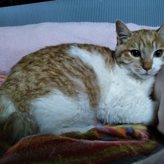 恐がりだけど穏やかな子