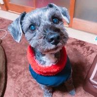ソラ