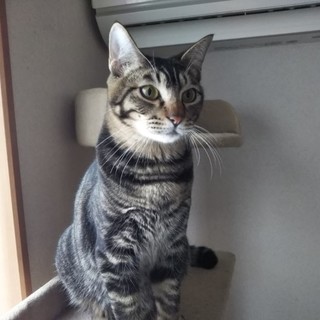 目力強め‼️運動神経抜群の屈託のない男の子