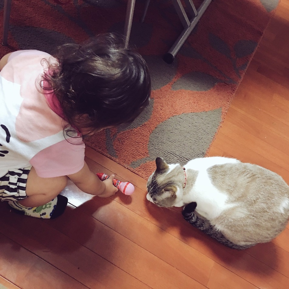 しおのカバー写真