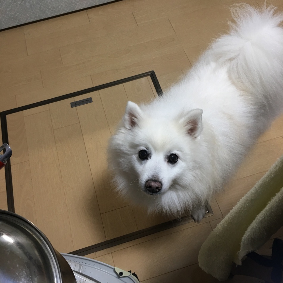 たくろうのカバー写真