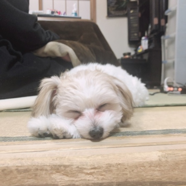 norika_tyobiのカバー写真
