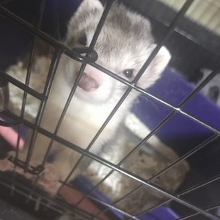 ＊今応募してくれてる方の中から決めます。