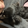 まったりタイム