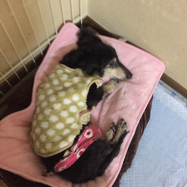 可愛い❤︎