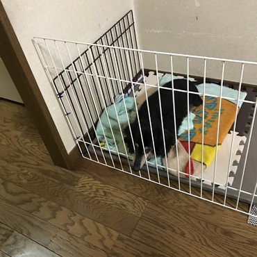つまらないみたい…