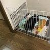 つまらないみたい…