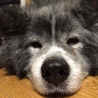 ひでお1
