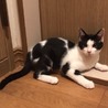 じやか