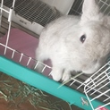 一旦中止してます