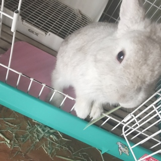 一旦中止してます