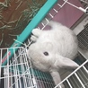 一旦中止してます サムネイル2