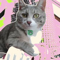 あんず