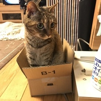 くぅちゃん