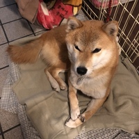 めい
