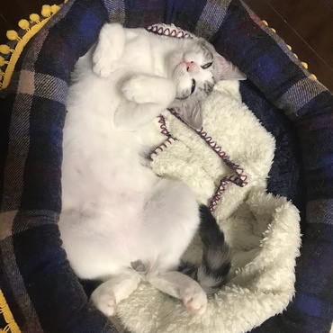 おとめちゃんの寝顔も鉄板です！笑笑