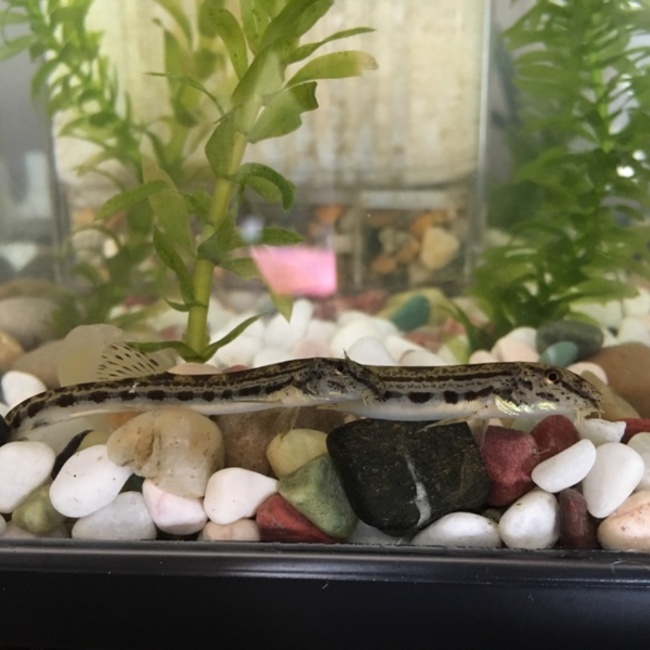 FM23miのカバー写真