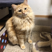 ボーちゃん