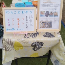 わんこのおやつ、試食会を行いました。