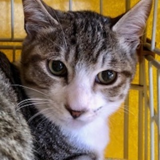 ちょっとビビリの優しい子　ラッキー君