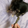 の写真