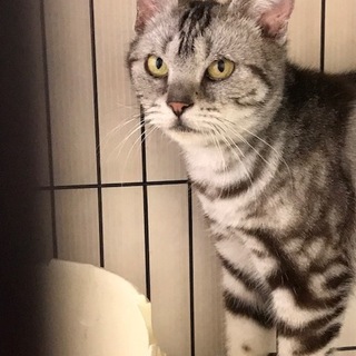 少しビビりですが穏やかな子です。