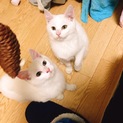 素敵な里親様ありがとうございました。